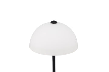 Ferrand Table Lamp - Black / White glass