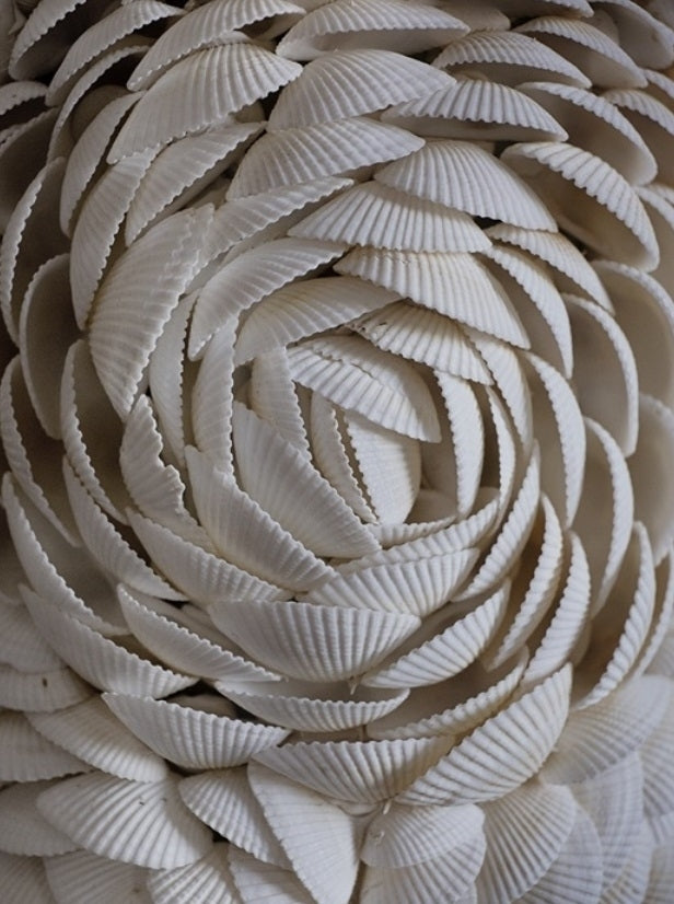 Cape Cod lampfot med snäckor